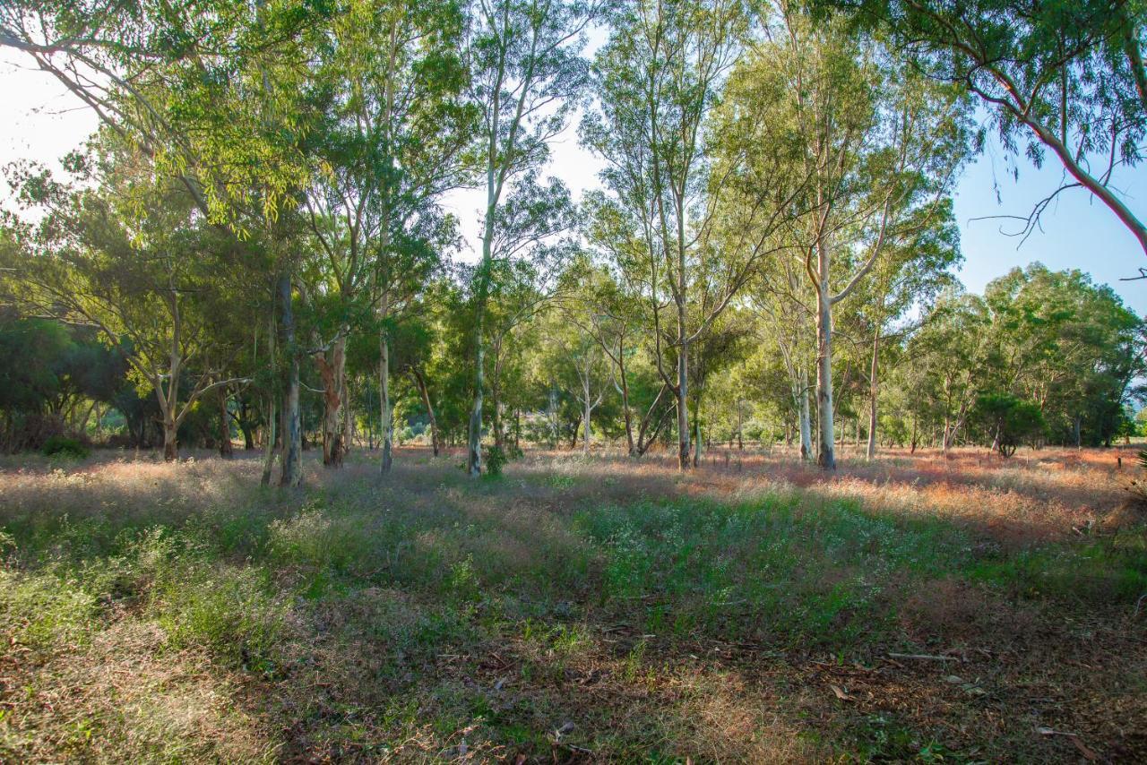 Ktima Petalea Villa Gythio Luaran gambar